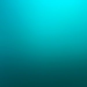 Meet your Posher, Reese